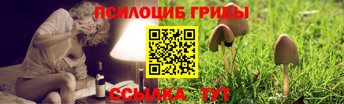 Псилоцибиновые грибы мухоморы  как найти   Псилоцибиновые грибы мухоморы  Новосибирск  Вход с VPN 