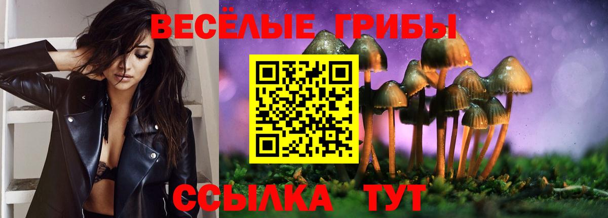Галлюциногенные грибы Psilocybe Новосибирск