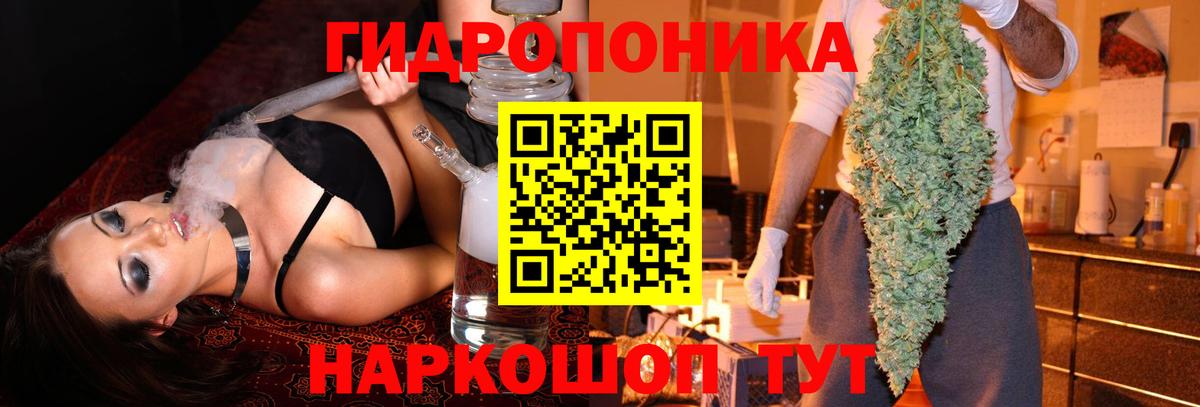 Марихуана планчик Новосибирск